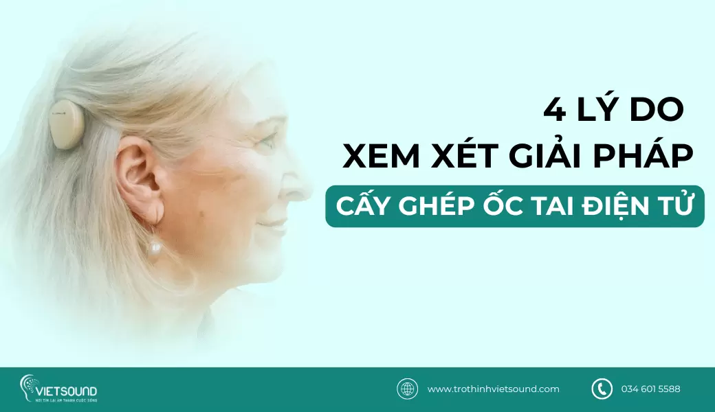 oc-tai-dien-tu (1)